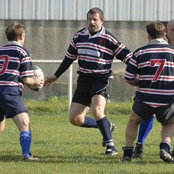 porc2008_019