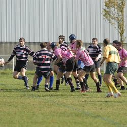 porc2008_020