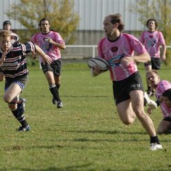 porc2008_025