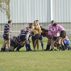 porc2008_027