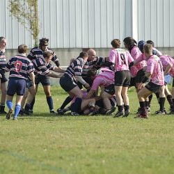 porc2008_028