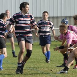 porc2008_029