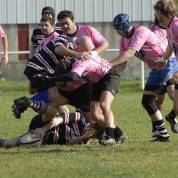 porc2008_030