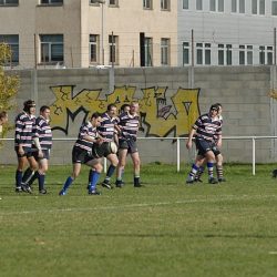 porc2008_032