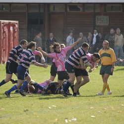 porc2008_033