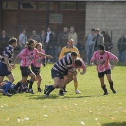 porc2008_034