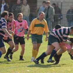 porc2008_035