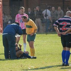porc2008_036