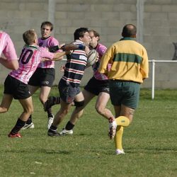 porc2008_039