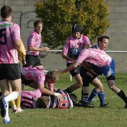 porc2008_040