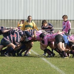 porc2008_041