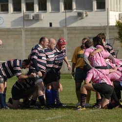 porc2008_043