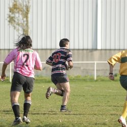 porc2008_045