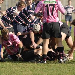 porc2008_046