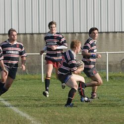 porc2008_047