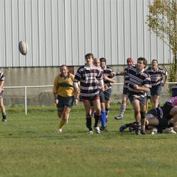 porc2008_050