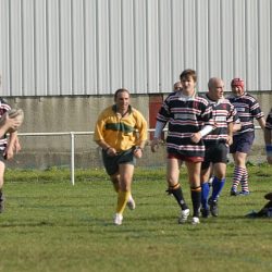 porc2008_051