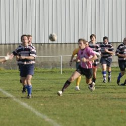 porc2008_052