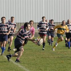 porc2008_053