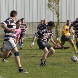 porc2008_054