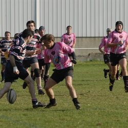porc2008_055