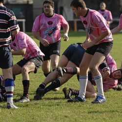 porc2008_058