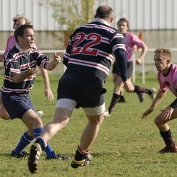 porc2008_059