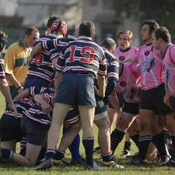 porc2008_060