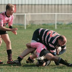 porc2008_062