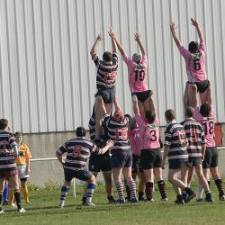 porc2008_063