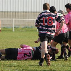 porc2008_064