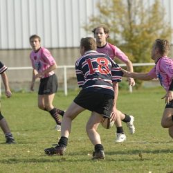 porc2008_066