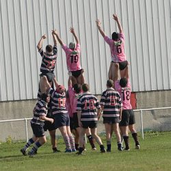 porc2008_067