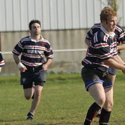 porc2008_068