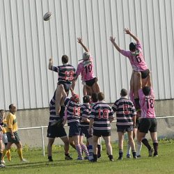porc2008_069