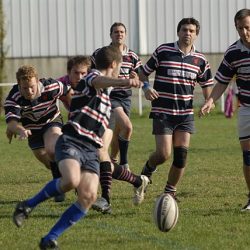 porc2008_072