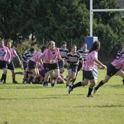 porc2008_077