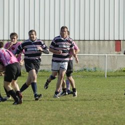 porc2008_086