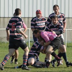 porc2008_087