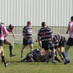 porc2008_088
