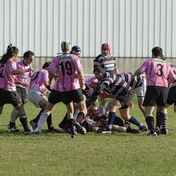 porc2008_089