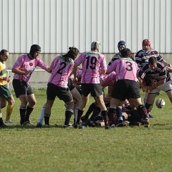 porc2008_090