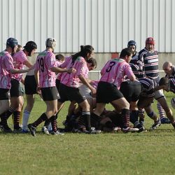 porc2008_091
