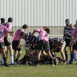 porc2008_092