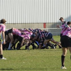porc2008_094
