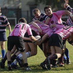 porc2008_102
