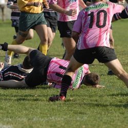 porc2008_104
