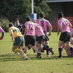 porc2008_107