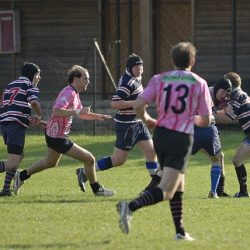 porc2008_111