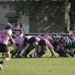 porc2008_112